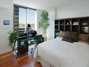 Executive Furnished 2 bedroom Apartment