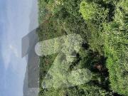 Executive Office with Margala View Available on rent...