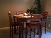 Executive Room Furnished