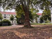 Exkl. 4 Zimmer Neubauwohnung KfW40 Aufzug Baubeginn ist...