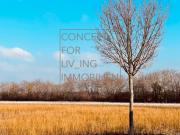 Exklusiv. Trendy. Coole Architektur. 32m2. 2...