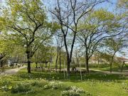 Exklusive 3 Zimmer Dachgeschosswohnung am Trillerpark...