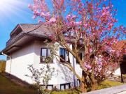 Exklusive Architektenvilla in Erzhausen in Feldrandlage