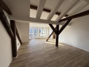 Exklusive Loft DG Wohnung mit 42 m² Dachterrasse & Blick...