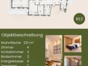 Exklusive Neubau 4 Zimmer Wohnung in Dambach