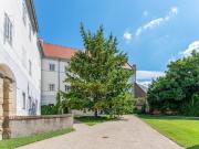 Exklusive Wohnung in ruhiger Parkanlage Stiftsplatz 5 Top 3