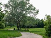 Exklusives Doppelhausflair als Investment: Ihr Traumhaus...