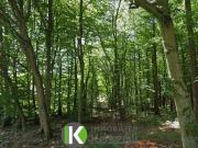 Exklusives Grundstück nahe Gablitz am Riederberg –...