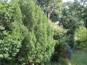 Exklusives teilmöbliertes Eigentumsobjekt in...