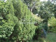 Exklusives Eigentumsobjekt in 1A Grünruhelage Mauer im...