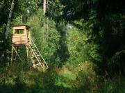 Exklusives Waldgrundstück in Döbling, Nähe Krapfenwaldbad