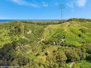 Expansive 6 Hectare Property with Stunning Views & Dual...