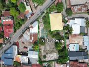 Expansive Residencial Lot for Sale in Talisay City, Cebu