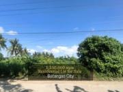 Expansive Residential Lot for Sale in Batangas