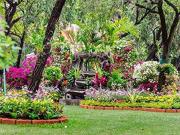EXQUISITA CASA REMODELADA EN LAS LOMAS DE CHAPULTEPEC EN...