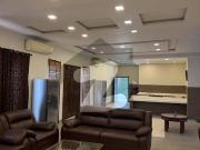 Exquisite 5 Kanal, 10 Marla Furnished Farmhouse For Sale...