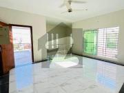 Exquisite Brand New 350 Square Yards House For Rent In...