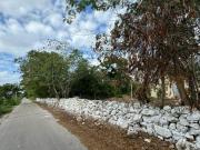 EXTENSO TERRENO EN SUMA DE HIDALGO, YUCATÁN