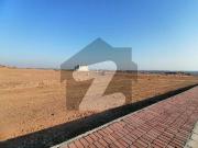 Extra Land & Big In Size Betest Option