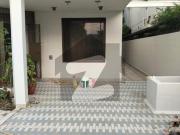 Extra Ordinary 500 Square Yard House Available For Rent...