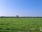 Venta de Rancho en Operación de 440 has en Cadereyta,...