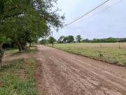 EXTRAORDINARIO LOTE ANISACATE