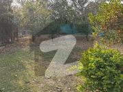 F10 1 Kanal Duplex House 6 Bedroom with 1.5 Kanal Extra...