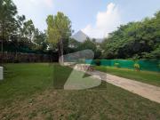 F10 excellent 1100sqy furnished house along with extra...