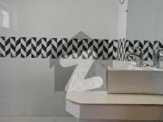 F10 Newly Renovated House Available For Rent F 10