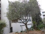 F1 29.4 m², balcon. Cuisine indépendante équipée