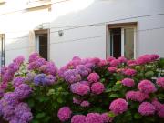 F1 RÉNOVÉ quartier ST ALYRE / GAILLARD