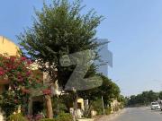 F3 Bahria Town Plot For Sale