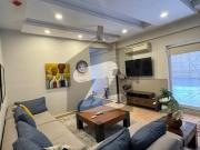 F7 Beautiful House For Rent F 7