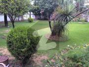 F7 Investor Alert 1166.66 SQY House Available for Sale