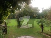 F 10/4 Exclusive 7 Bedroom 1000 Yards House, 5 Kanal...