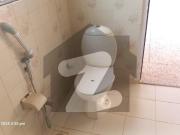 F 10 Double Storey House 4 Bedroom Nice Location close...
