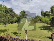 F 10 Mind Blowing Lower Portion Of 3'Bed With Huge...