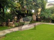 F 11 600'yd 6'Beds Full House For Rent