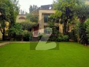 F 11 Brand New 5'Bed Ground With Basement for Rent