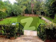 F 11 Brand New 5'Bed Ground With Basement for Rent