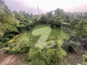 F 11 Luxury Corner House With Huge Extra Land F 11/2