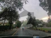 F 8 Park Facing 1244 Square Yards House Available 80*140...