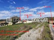 Fabbricati per attivit agricole di 1730 mq in vendita a...