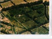 Fabbricato con terreno produttivo a 7 km da Capo Ferrato