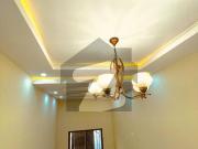 Facing Green Belt Brand New 5 Bedrooms House Available...