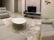 Facing Open Fully Furnished Semi D Astana Park Home...