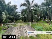 {Facing Road} Argiculture Land for Rent @ Kapar Batu 12...