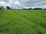 Faha Demesne, Patrickswell, Limerick