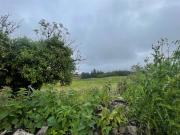 Fahanlunaghtamore, Miltown Malbay, Clare Streets Ahead...