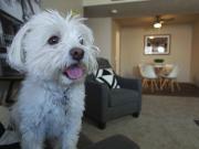 Fairlane at Aksarben 2 Bedroom Apartment for Rent at...